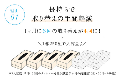 【ボックスティッシュ】スコッティ ティシュー フラワーボックス250組54箱(1ケース3箱×18パック) ふるさと納税 箱ティッシュ ティッシュ ティシュー ボックス 日用品 日用雑貨 消耗品 必需品 常備品 紙 ペーパー ペーパータオル 大容量 長持ち 日本製紙クレシア 人気 おすすめ 日本製 上質 やわらかい 花粉症 クレシア 省スペース 新生活 まとめ買い 防災 京都 福知山市 FCAS003