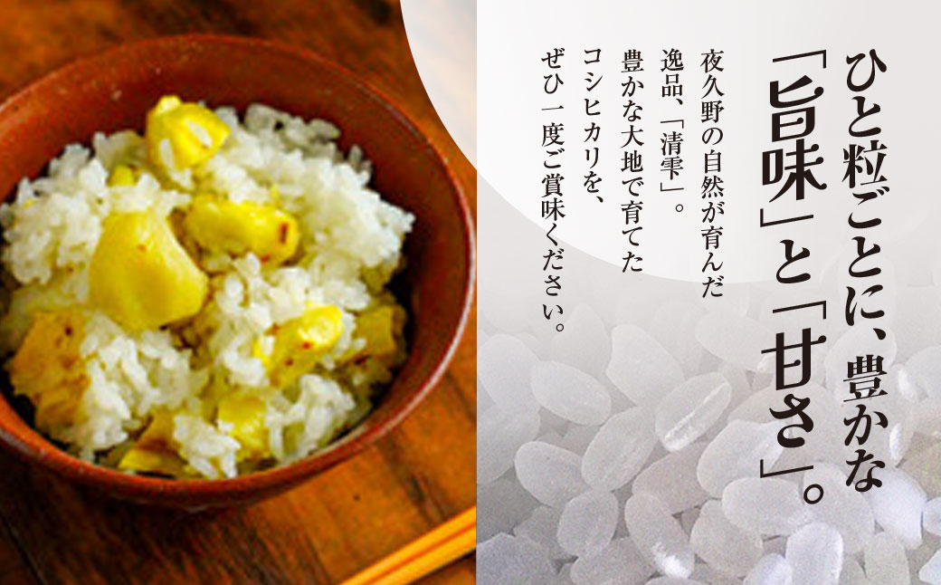 ＼＼計60kg ♪／／＜令和8年10月中旬より発送！＞【6ヶ月定期】田んぼオーナーシップ6口分　清雫　白米10kg+黒ムラサキ（丹波黒大豆の枝豆）/ ふるさと納税 田んぼ オーナー制度 米 白米 令和8年度産 先行 定期 10kg 6回 収穫 夜久野 京都 京都府 福知山 FCDB011