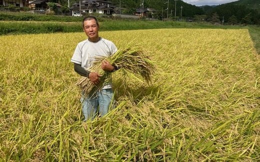 令和7年度産　京都丹波産　コシヒカリ米（精米）5kg×2   【ふるさと納税 米  精米 コシヒカリ 特別栽培米  京都府 福知山市】 FCDF002