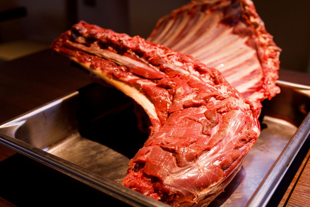 【京都・福知山】猟師兼料理人と行く！狩猟とジビエフルコース体験プラン（２日間/３食付）大人1名様 FCN006