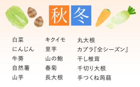 ＜鮮度抜群「京野菜」 食べきりサイズ詰合せ＞ ふるさと納税 京野菜 野菜 旬 新鮮 鮮度 自然栽培 自然農法 おいしい おばんざい 食べきり 詰合せ お取り寄せ 京都府 福知山市 FCCM002