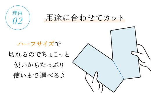 【キッチンタオル】 ＜スコッティファイン 3倍巻キッチンタオル 150カット2ロール×24パック＞ ふるさと納税 日用品 日用雑貨 日用消耗品 生活必需品 必需品 消耗品 紙 ペーパー キッチンペーパー ペーパータオル きっちんぺーぱー 大容量 コンパクト 日本製紙クレシア まとめ買い 京都 福知山市 FCAS005