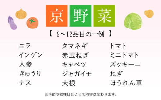 【3ヵ月定期便】 ＜鮮度抜群「京野菜」9～12品目詰合せ＞ ふるさと納税 定期便 京野菜 野菜 旬 新鮮 鮮度 自然栽培 自然農法 おいしい おばんざい 食べきり 詰合せ お取り寄せ 京都府 福知山市 FCCM018