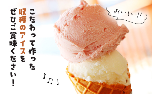 【こだわりの手作り】収穫のアイス<6個セット>　丹波あじわいセット（丹波栗・丹波黒豆・季節のフレーバー各2カップ）/ ふるさと納税 スイーツ アイス アイスクリーム こだわり 手作り 6個 セット 季節 丹波 栗フルーツ 野菜 ヒラヤミルク 自家製 無着色 福知山市 京都府 FCCP001 アイス アイス アイス アイス アイス アイス アイス アイス アイス アイス アイス アイス アイス アイス アイス アイス アイス アイス アイス アイス