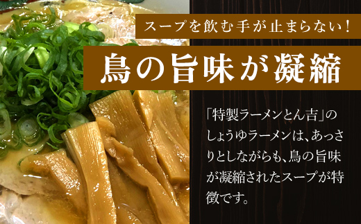 京都福知山 特製ラーメンとん吉のしょうゆラーメン（冷凍・10食分） ふるさと納税 とん吉 冷凍 ラーメン しょうゆ 醤油 しょうゆラーメン 醤油ラーメン あっさり 細麺 麺 めん メン 人気 おすすめ お取り寄せ 京都府 福知山市 FCDD011