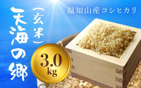 【令和6年産】福知山産コシヒカリ『天海の郷』天空に広がる天海の郷　3kg（玄米） FCCM012