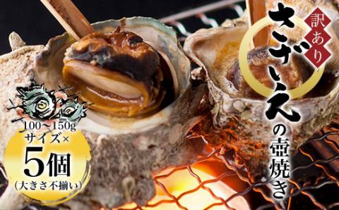 【訳あり】さざえの壺焼き 100～150g サイズ×5個 （大きさ不揃い） FCAW010