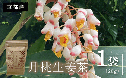 月桃生姜茶　1袋(28g) FCBG003