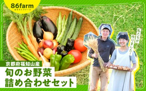 京都府福知山産 ＜旬のお野菜詰め合わせセット＞ ふるさと納税 おすすめ 旬の野菜 旬 野菜 詰め合わせ セット 農薬 肥料 不使用 京都府 福知山市 FCAM001