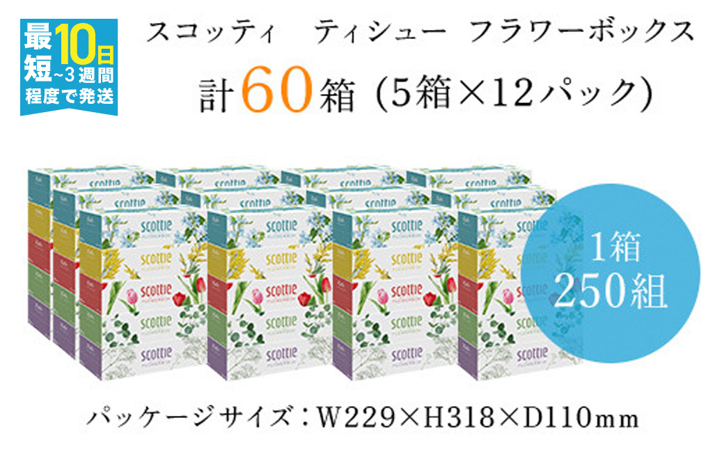 【スコッティ】 ティシュー フラワーボックス 250組 5箱パック×12 合計60箱 ティッシュ ティッシュペーパー 日用品 生活必需品