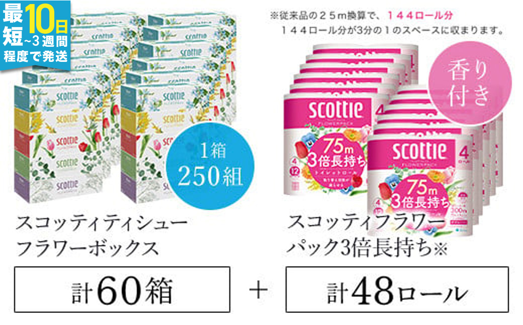 【ボックスティッシュ60箱＋トイレットペーパー48ロール セット】スコッティ ティシュー フラワーボックス 250組60箱 (1ケース5箱×12パック) と スコッティ フラワーパック3倍長持ち（ダブル）48ロール（4ロール×12パック）