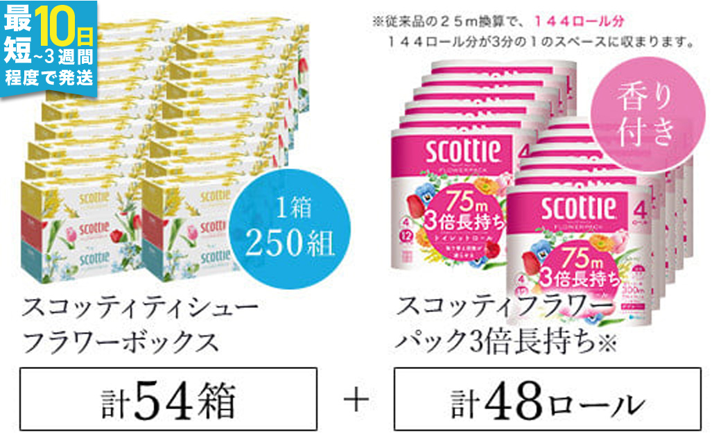 【ボックスティッシュ54箱＋トイレットロール48ロール セット】スコッティ ティシュー フラワーボックス 250組 54箱 (1ケース3箱×18パック) と スコッティ フラワーパック 3倍長持ち 48ロール （4ロール×12パック）/ 日用品 ティッシュ トイレットペーパー セット 消耗品 備蓄 防災 大容量 大人気 おすすめ 肌触り 日本製 たっぷり 国産 クレシア まとめ買い ストック FCAS026