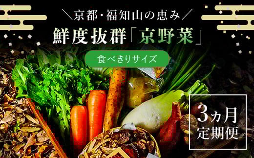 【3ヵ月定期便】 ＜鮮度抜群「京野菜」 食べきりサイズ（6～7品）詰合せ＞ ふるさと納税 定期便 京野菜 野菜 旬 新鮮 鮮度 自然栽培 自然農法 おいしい おばんざい 食べきり 詰合せ お取り寄せ 京都府 福知山市 FCCM015