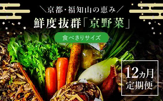 【12ヵ月定期便】 ＜鮮度抜群「京野菜」 食べきりサイズ（6～7品）詰合せ＞ ふるさと納税 定期便 京野菜 野菜 旬 新鮮 鮮度 自然栽培 自然農法 おいしい おばんざい 食べきり 詰合せ お取り寄せ 京都府 福知山市 FCCM017