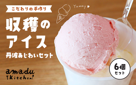 【こだわりの手作り】収穫のアイス<6個セット>　丹波あじわいセット（丹波栗・丹波黒豆・季節のフレーバー各2カップ）/ ふるさと納税 スイーツ アイス アイスクリーム こだわり 手作り 6個 セット 季節 丹波 栗フルーツ 野菜 ヒラヤミルク 自家製 無着色 福知山市 京都府 FCCP001 アイス アイス アイス アイス アイス アイス アイス アイス アイス アイス アイス アイス アイス アイス アイス アイス アイス アイス アイス アイス