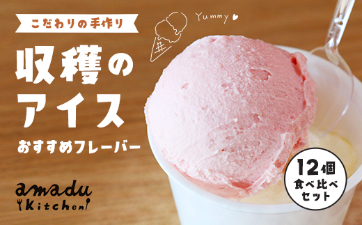 【こだわりの手作り】収穫のアイス<おすすめフレーバー食べ比べ12個セット>（ミルク・イチゴ・ほうじ茶・抹茶・丹波栗・丹波黒豆各2カップ）/ ふるさと納税 スイーツ アイス アイスクリーム こだわり 手作り 12個 食べ比べ セット 季節 ミルク イチゴ ほうじ茶 抹茶 丹波栗 丹波黒豆 ヒラヤミルク 自家製 無着色 福知山市 京都府 FCCP003 アイス アイス アイス アイス アイス アイス アイス アイス アイス アイス アイス