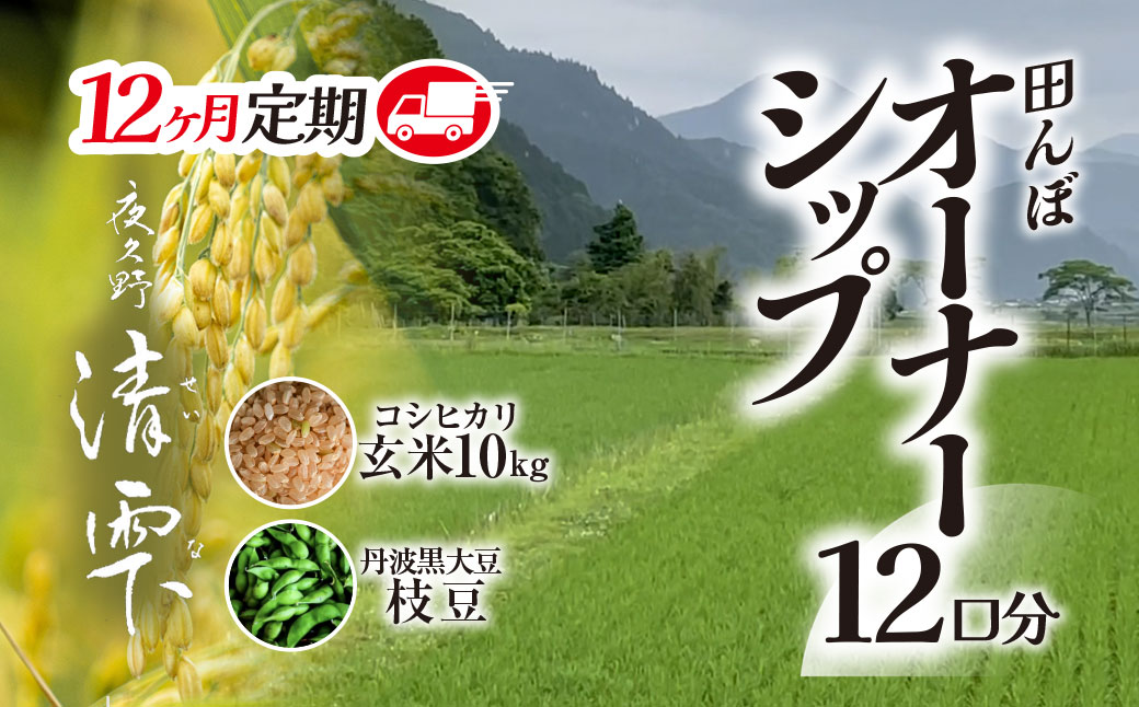 ＼＼計120kg ♪／／＜令和8年10月中旬より発送！＞【12ヶ月定期】田んぼオーナーシップ12口分　清雫　玄米10kg+黒ムラサキ（丹波黒大豆の枝豆）/ ふるさと納税 田んぼ オーナー制度 米 玄米 令和8年度産 先行 定期 10kg 12回 収穫 夜久野 京都 京都府 福知山 FCDB008