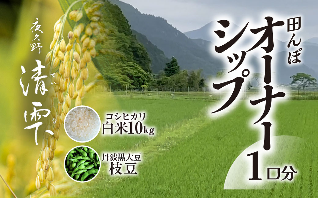 ＜令和8年10月中旬より発送！＞田んぼオーナーシップ1口分　清雫　白米10kg+黒ムラサキ（丹波黒大豆の枝豆）/ ふるさと納税 田んぼ オーナー制度 米 白米 令和8年度産 先行 収穫 夜久野 京都 京都府 福知山 FCDB009