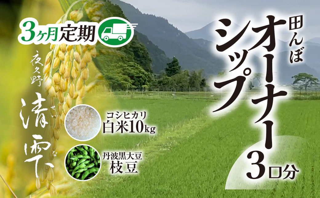 ＼＼計30kg ♪／／＜令和8年10月中旬より発送！＞【3ヶ月定期】田んぼオーナーシップ3口分　清雫　白米10kg+黒ムラサキ（丹波黒大豆の枝豆）/ ふるさと納税 田んぼ オーナー制度 米 白米 令和8年度産 先行 10kg 3回 収穫 夜久野 京都 京都府 福知山 FCDB010