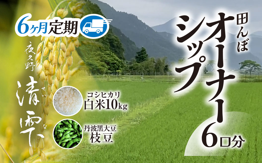 ＼＼計60kg ♪／／＜令和8年10月中旬より発送！＞【6ヶ月定期】田んぼオーナーシップ6口分　清雫　白米10kg+黒ムラサキ（丹波黒大豆の枝豆）/ ふるさと納税 田んぼ オーナー制度 米 白米 令和8年度産 先行 定期 10kg 6回 収穫 夜久野 京都 京都府 福知山 FCDB011