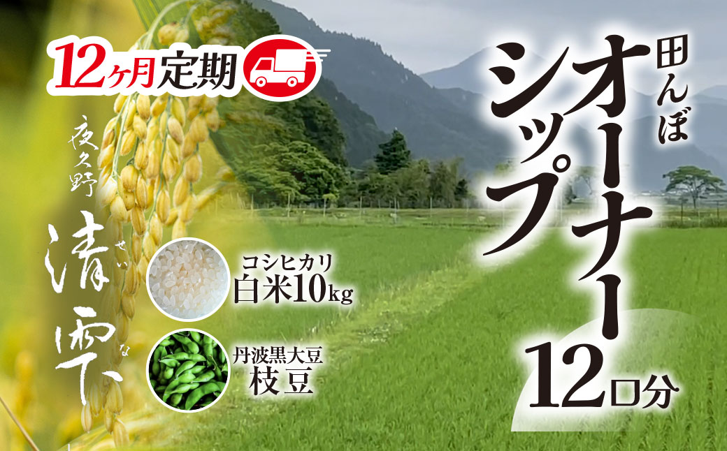 ＼＼計120kg ♪／／＜令和8年10月中旬より発送！＞【12ヶ月定期】田んぼオーナーシップ12口分　清雫　白米10kg+ムラサキ（丹波黒大豆の枝豆）/ ふるさと納税 田んぼ オーナー制度 米 白米 令和8年度産 先行 定期 10kg 12回 収穫 夜久野 京都 京都府 福知山 FCDB012