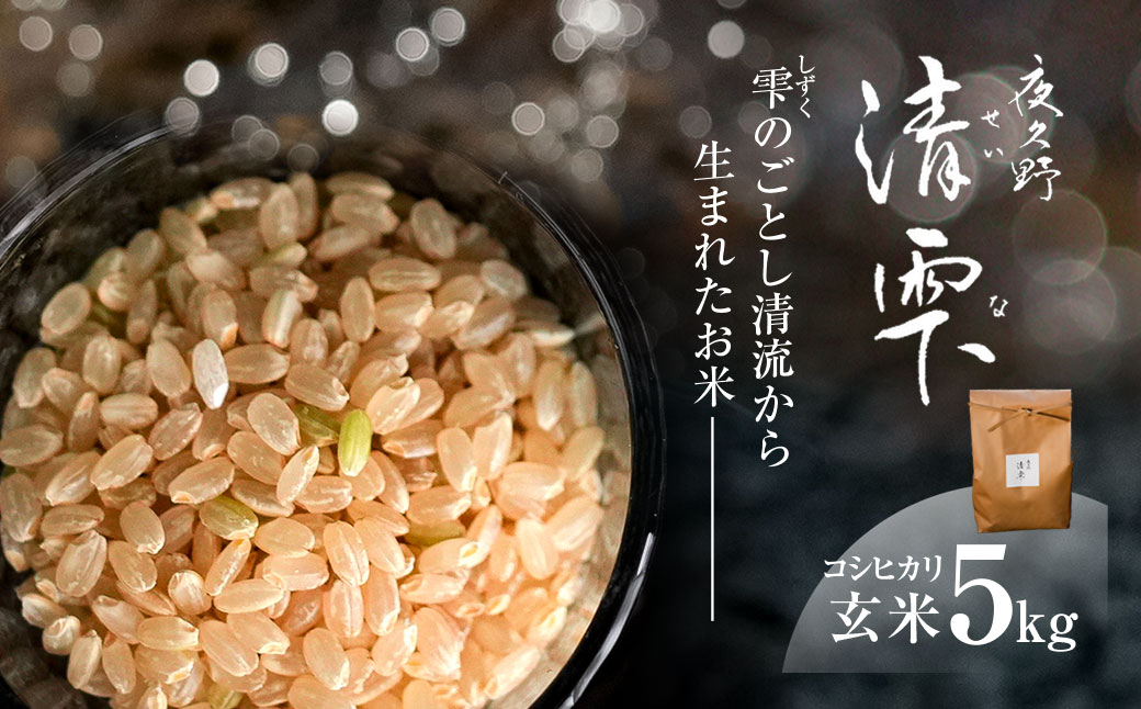 ＜令和7年9月末より発送予定！＞京都夜久野産　清雫（せいな）　コシヒカリ＜玄米5kg＞/ 令和7年度産 先行 5kg 収穫 玄米 夜久野 京都 京都府 福知山 FCDB017