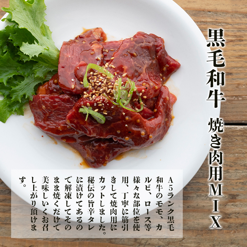 A5 黒毛和牛 焼肉セット MIX肉＆ホルモン 600g 150g小分けパック 冷凍 自家製 旨辛タレ 味付け肉 揉み込み 牛肉 焼き肉 モモ カルビ ロース ミックス 上ホルモン 牛ホルモン 熨斗 ギフト 御歳暮 お歳暮 プレゼント 贈答 熨斗 御中元 お中元 夏ギフト