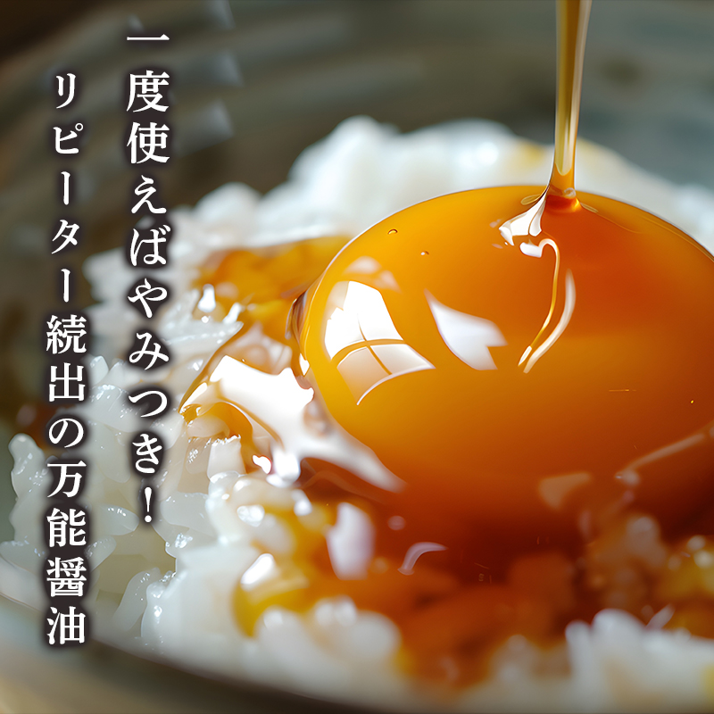 うま味醤油 200ml×5本 ： 旨味調味料 醤油 しょう油 調味料 旨味 うまみ しょうゆ TKG 料理 調理 キャンプ BBQ アウトドア 和食 洋食 隠し味 これだけ 美味しい うまい 人気 リピーター 京都 舞鶴 炭火串焼 灯志
