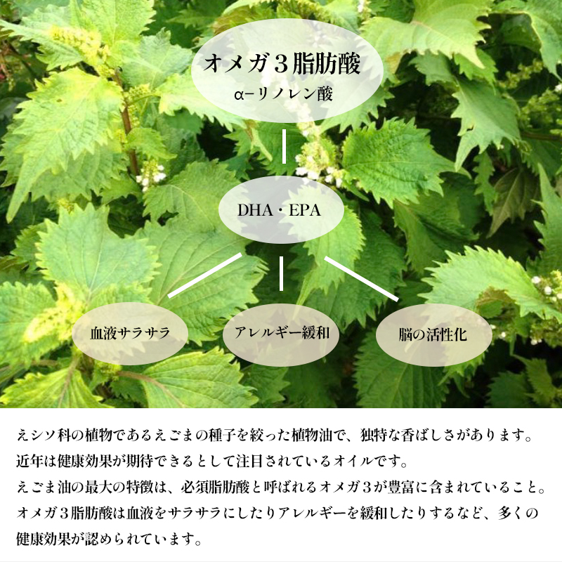 えごま油 110g×3本 無農薬 自家栽培 低温圧搾 生絞り えごまオイル オイル 油 植物油 健康 国産 食用油 荏胡麻