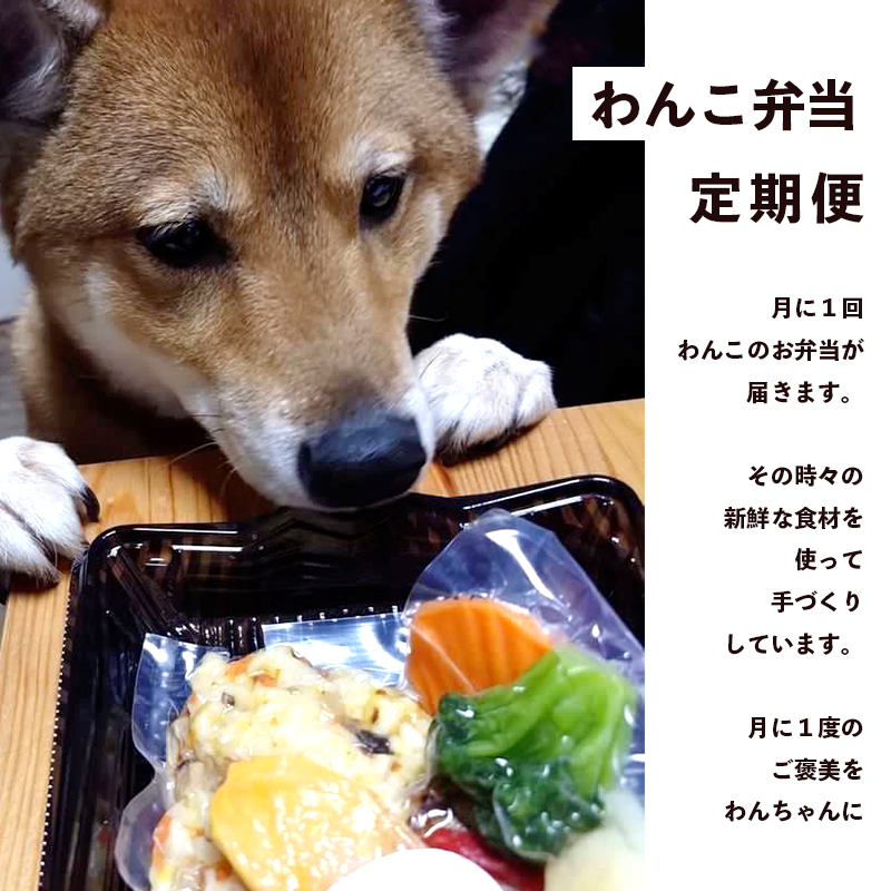 定期便 6回 愛犬用 無添加 お弁当 セット Lサイズ 詰め合わせ スープ おやつ 2袋 大型犬 ご飯 ドックフード ペット ドッグ エサ 餌 手作り 京都 舞鶴 犬
