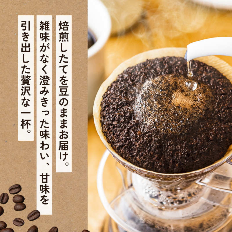 自家焙煎 珈琲ヒュッテ こだわり コーヒー豆 200g × 2袋 セット 珈琲豆 挽きたて 新鮮 豆 コーヒー 珈琲