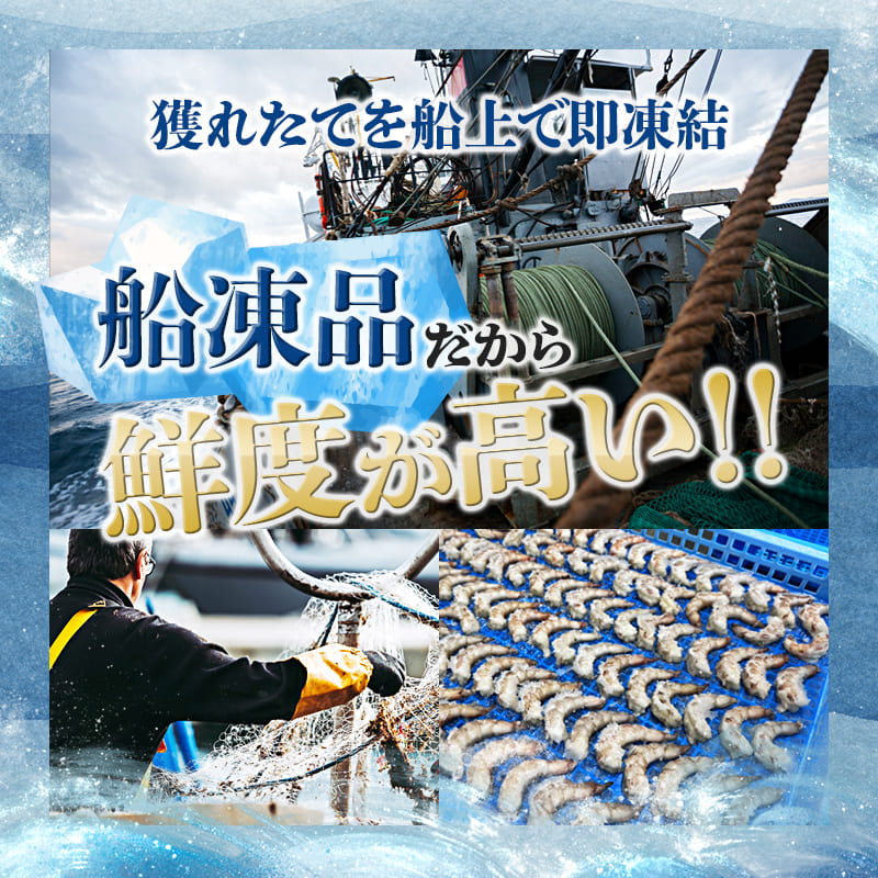 背ワタ処理済み 天然 無添加 大粒ムキエビ 1kg 約80尾 冷凍 海老 エビ えび むき海老 むきエビ むき身 海鮮 魚介 背ワタなし 下処理済み 下ごしらえ不要 簡単 簡単調理 時短 便利 特大 お取り寄せ 大粒 巨大 唐揚げ 鍋 春巻き エビチリ 1キロ 舞鶴 京都