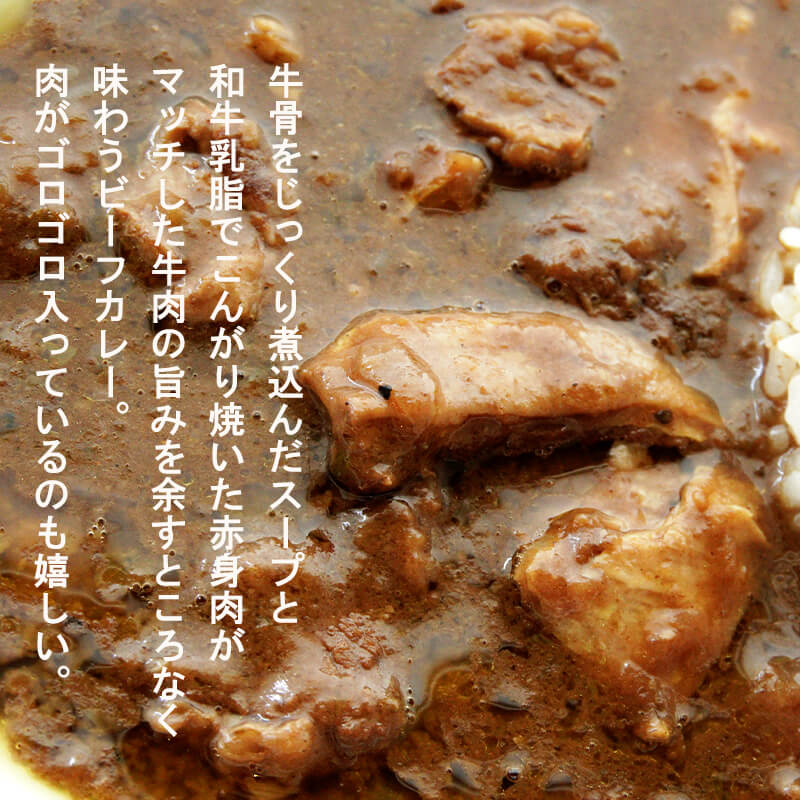 マウンテン ビーフカレー 中辛 ５食セット 牛肉 レトルト レトルトカレー 常温保存 カレー 舞鶴 京都 お取り寄せ グルメ 中辛カレー カレーライス