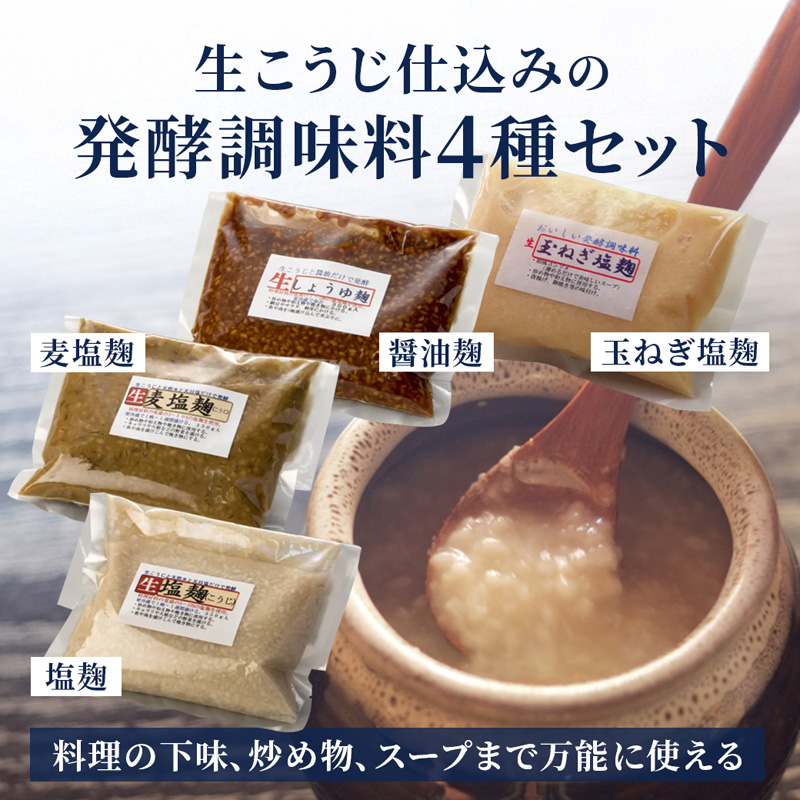 【国産生麹使用】 発酵調味料 4点セット 塩麹・麦塩麹・醤油麹・玉ねぎ塩麹 各200〜250g | 塩麹 麦塩麹 醤油麹 玉ねぎ塩麹 発酵調味料 こうじ 麹 国産 料理下味 漬け込み 炒め物 ギフト  大阪屋こうじ店 国産麹 舞鶴