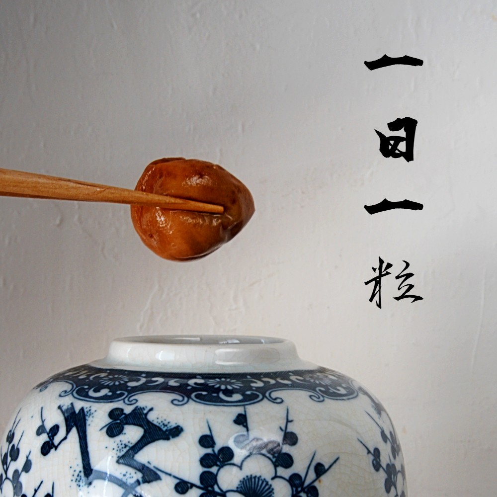 無添加 梅干し 減塩 小分け 1.5kg 1.5キロ 舞鶴産 うめぼし お取り寄せ 漬物 南高梅 昔ながら 田舎