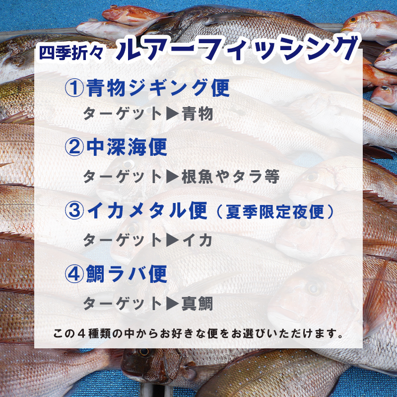 舞鶴で船釣り体験！ シーホーク １日乗船券 １名様 ルアーフィッシング 関西 日本海 京都府 舞鶴市 海 アウトドア 釣り フィッシング 船 釣り船 船釣り 体験