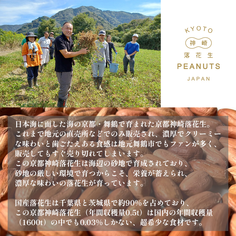 京都神崎落花生チーズケーキ 4号 １個 ケーキ チーズケーキ 専門店 洋菓子 人気 スイーツ お菓子 ピーナッツチーズケーキ 舞鶴産落花生 国産落花生 ソラアオ soraao 京都 舞鶴