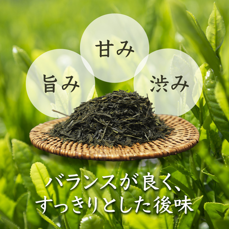舞鶴茶 上煎茶 1袋 200g | 舞鶴茶 緑茶 日本茶 国産茶 植和田園 上煎茶 京都 舞鶴 由良川 甘み うま味 高級茶 家庭用 ギフト 健康 女性茶農家 茶葉 京都土産 農家直送 産地直送