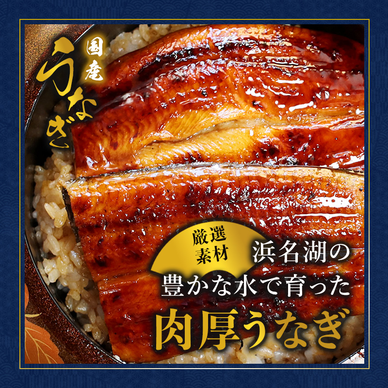 浜名湖産 うなぎ蒲焼き 特製タレ付き 1尾 | うなぎ 蒲焼き 国産 浜名湖産 ギフト プレゼント 贈答用 冷凍 土用の丑の日 うな丼 特製タレ 職人手焼き 関東風 うなぎの蒲焼 鰻京都 舞鶴
