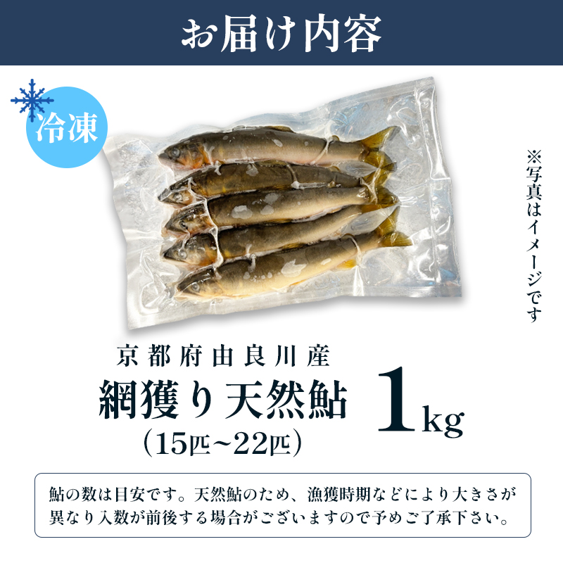 天然鮎 網獲り 冷凍 約1kg（約15匹～22匹）【 由良川の網獲り 由良川漁協 冷凍あゆ 冷凍鮎 高鮮度 冷凍 あゆ 鮎 魚 さかな 舞鶴 京都 】