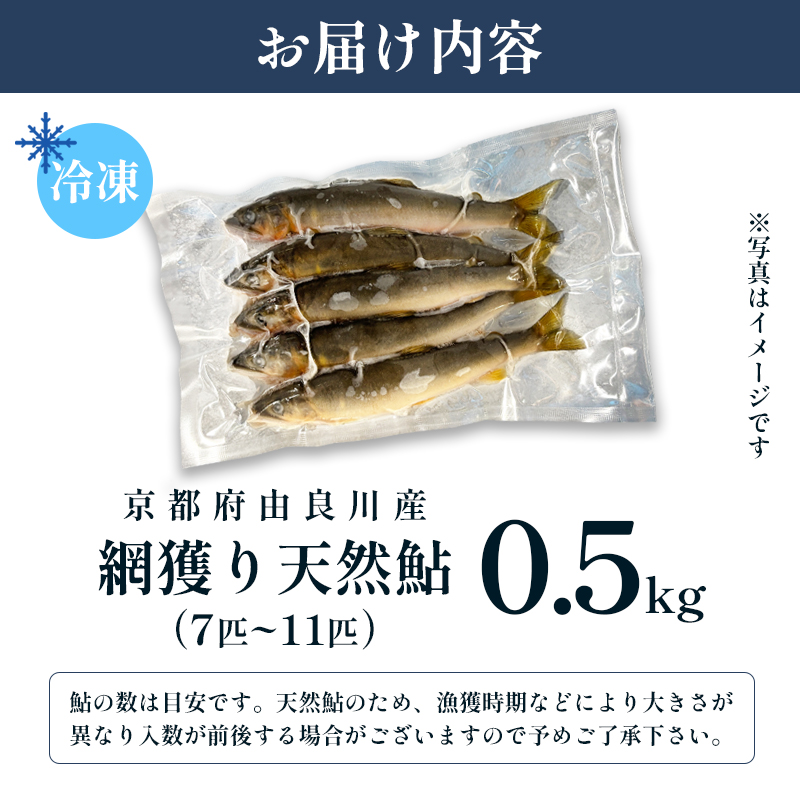 天然鮎 網獲り 冷凍 約0.5kg（約7匹～11匹）【 由良川の網獲り 由良川漁協 冷凍あゆ 冷凍鮎 高鮮度 冷凍 あゆ 鮎 魚 さかな 舞鶴 京都 】