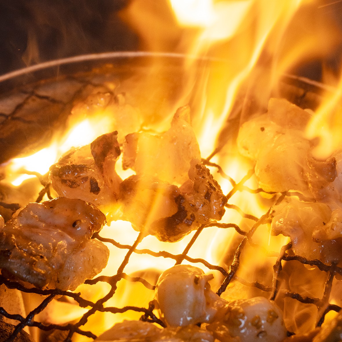 黒毛和牛 ホルモン 600g 旨辛タレ トロホルモン 上ホルモン 国産ホルモン 牛肉 焼き肉 BBQ バーベキュー 味付け肉 熨斗 ギフト プレゼント 贈答 お歳暮 御歳暮 御中元 お中元 夏ギフト お祝い