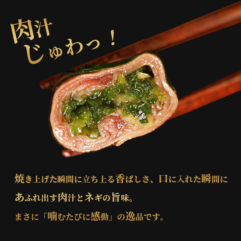 【お肉ソムリエ厳選】 塩タンネギ包み 8個入 約30g×8個 | 牛たん タン塩 塩タン ネギ 牛 牛肉 ビーフ 塩味 厳選 人気 焼肉 冷凍 小分け ギフト 贈答用 美味しい お勧め おすすめ 熨斗 舞鶴市 京都府