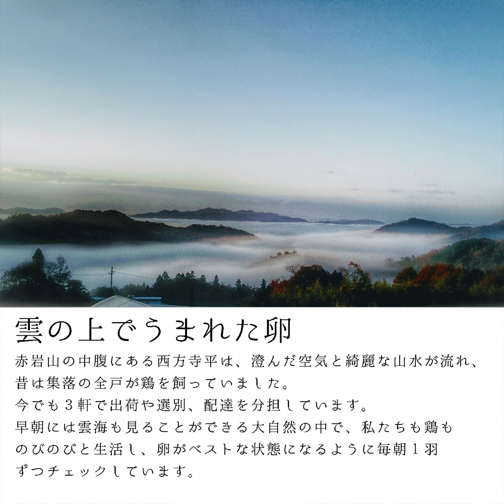赤岩高原たまご 80～90個入（特選/無選別Ｍ～Ｌ） 4.8kg以上 卵 大人数用 たまご 大入り