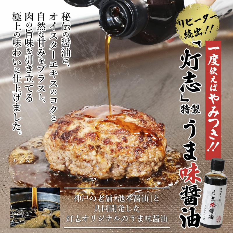 舞鶴三味膳 醤油で食べる 贅沢ハンバーグ 詰め合わせ ： うま味醤油 薬味 コラボ商品 黒毛和牛ハンバーグ 牛タンハンバーグ 合いびきハンバーグ お取り寄せ グルメ 京都 舞鶴 灯志 ABCフーズ