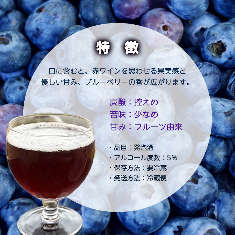 ブルーベリーミライエール 330ml×6本 | ブルーベリー 国産 発泡酒 地ビール クラフトビール フルーツビール 地ビール ブルーベリービール 国産果実 女性向け ギフト 手土産 フルーティー ビール エール 冷蔵 京都府舞鶴市