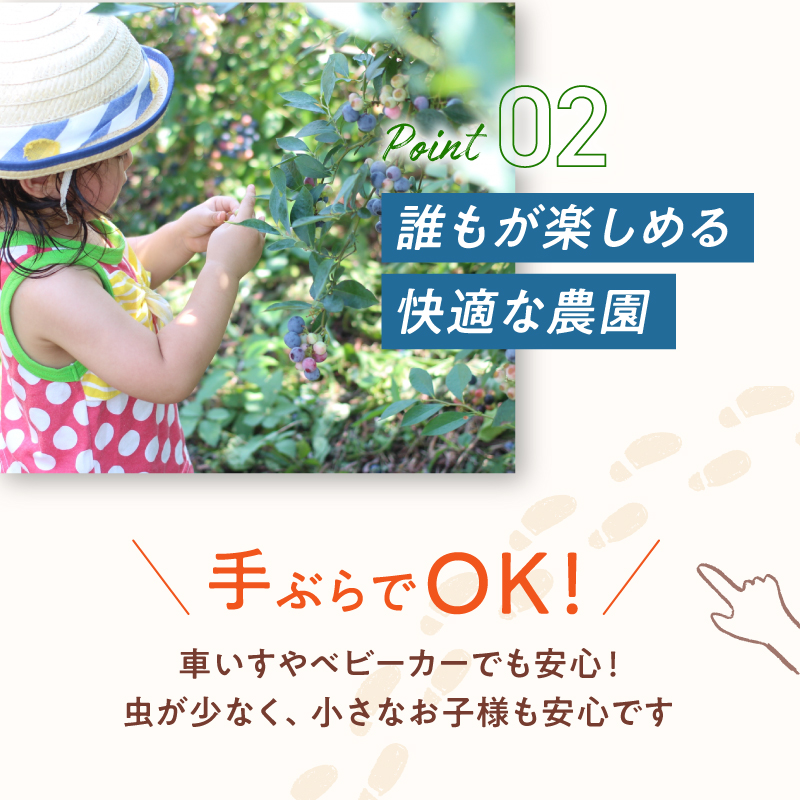 【6月～8月】 ブルーベリー狩り ペアチケット 【時間無制限・食べ放題】 | ブルーベリー 果物 フルーツ狩り 中学生以上 摘み取り 体験 チケット ペア 時間 無制限 食べ 放題 関西 京都 舞鶴