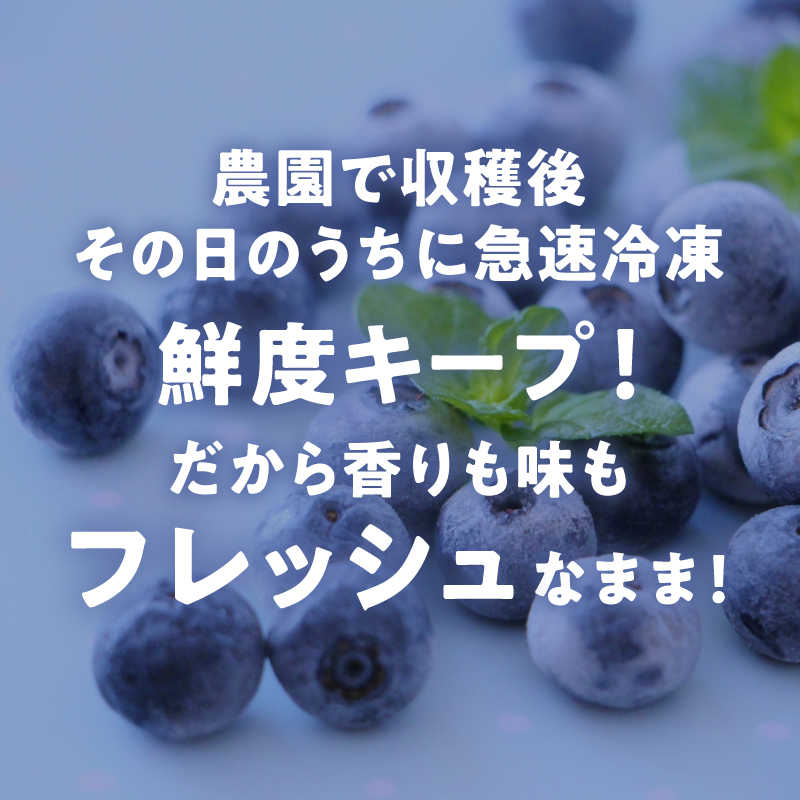 ブルーベリー カヌレ 5個 Blueberry valley Maizuru産ブルーベリーを使用 | 特製カヌレ ブルーベリーカヌレ ブルーベリーバレーまいづる スイーツ ギフト お取り寄せ 冷凍カヌレ 手土産