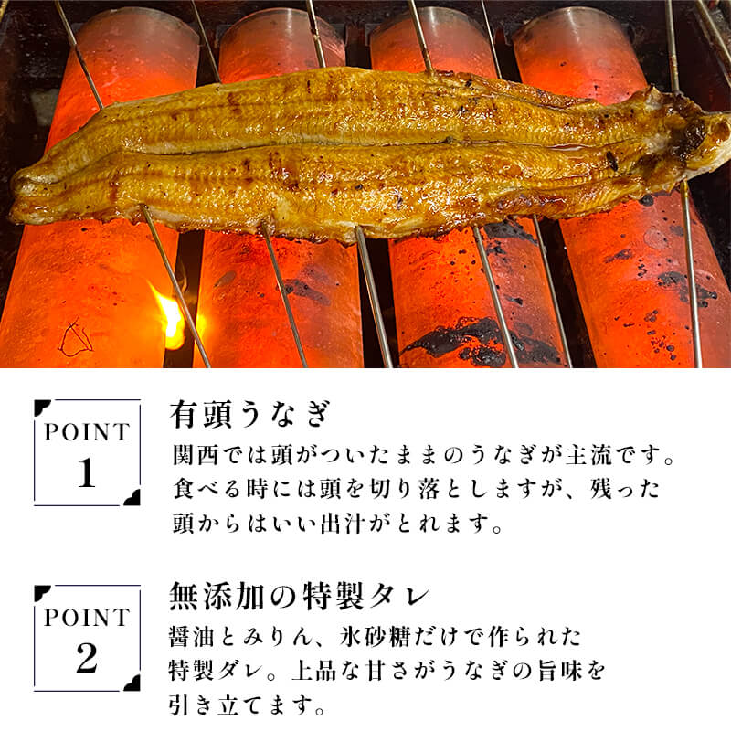 国産 うなぎ 蒲焼 2尾 特製ダレ付 冷凍 有頭 鰻 うなぎ蒲焼 調理済 ウナギ たれ付き 簡単 お取り寄せ グルメ 国産鰻 養殖