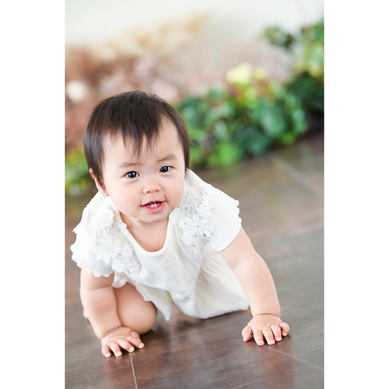 記念撮影プラン プリン 写真撮影・フォトDecoライト（3カット）・5カットデータ込み